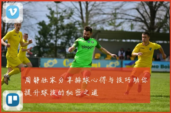 周静独家分享排球心得与技巧助你提升球技的秘密之道