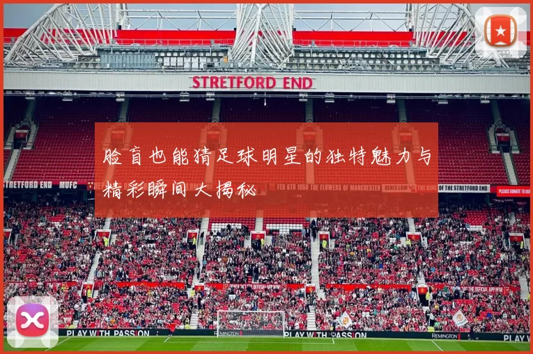 脸盲也能猜足球明星的独特魅力与精彩瞬间大揭秘