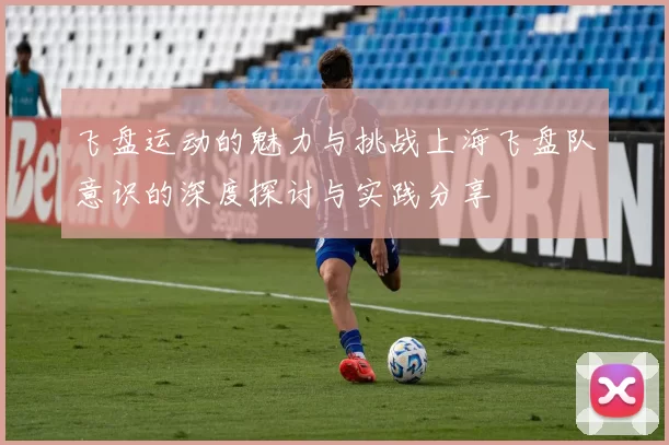 飞盘运动的魅力与挑战上海飞盘队意识的深度探讨与实践分享