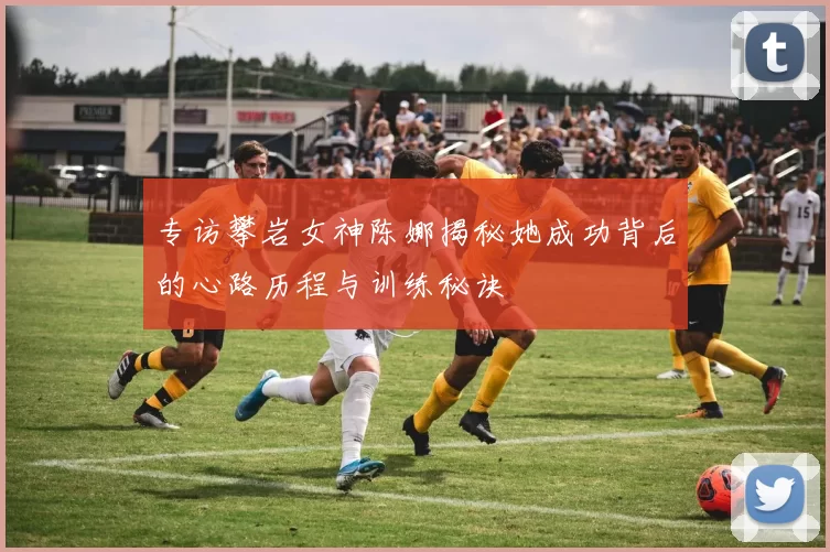 专访攀岩女神陈娜揭秘她成功背后的心路历程与训练秘诀