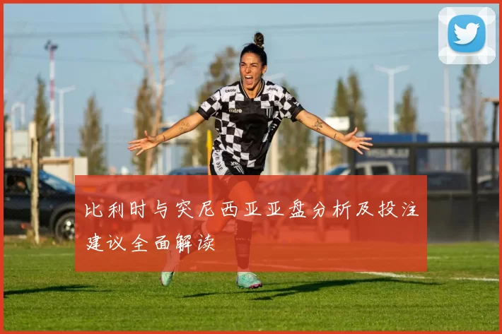 比利时与突尼西亚亚盘分析及投注建议全面解读