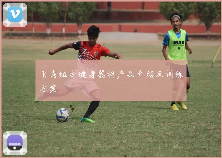 飞鸟组合健身器材产品介绍及训练方案