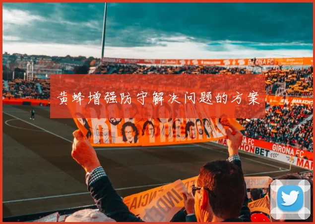 黄蜂增强防守解决问题的方案