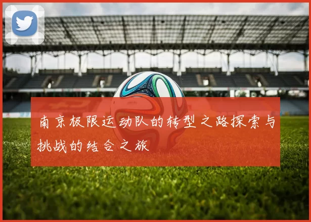 南京极限运动队的转型之路探索与挑战的结合之旅