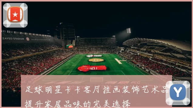 足球明星卡卡客厅挂画装饰艺术品提升家居品味的完美选择
