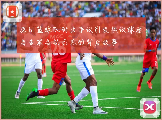深圳篮球队耐力争议引发热议球迷与专家各执己见的背后故事
