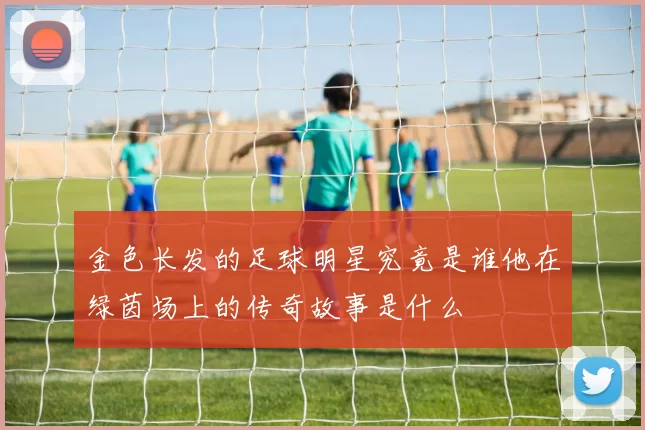 金色长发的足球明星究竟是谁他在绿茵场上的传奇故事是什么