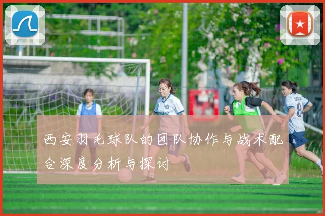 西安羽毛球队的团队协作与战术配合深度分析与探讨