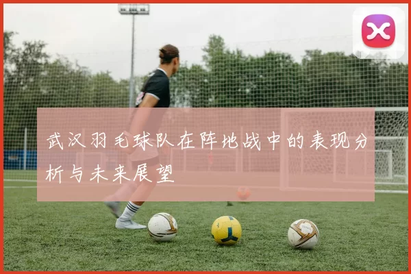 武汉羽毛球队在阵地战中的表现分析与未来展望