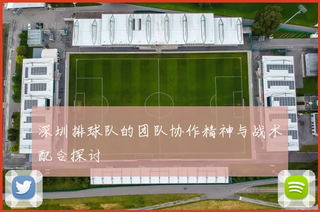 深圳排球队的团队协作精神与战术配合探讨