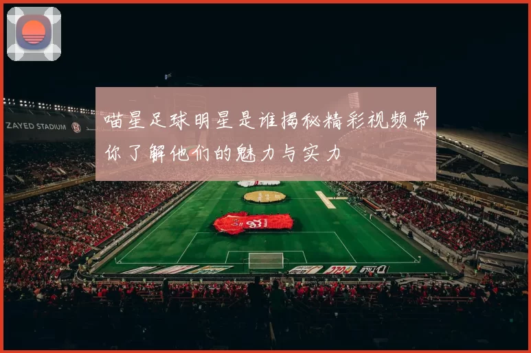 喵星足球明星是谁揭秘精彩视频带你了解他们的魅力与实力