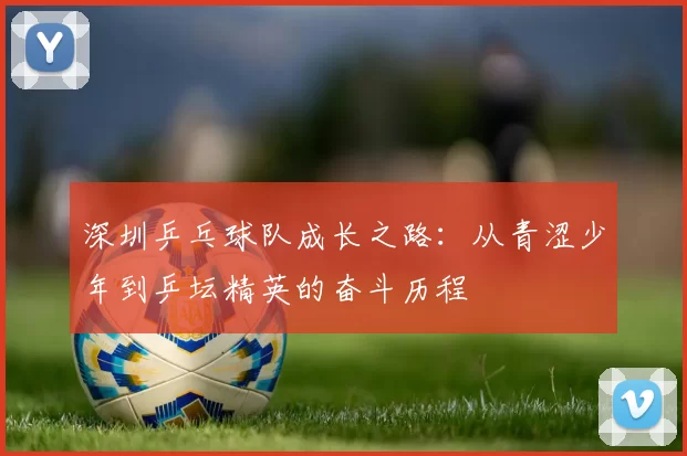 深圳乒乓球队成长之路：从青涩少年到乒坛精英的奋斗历程