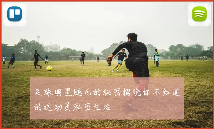 足球明星腿毛的秘密揭晓你不知道的运动员私密生活
