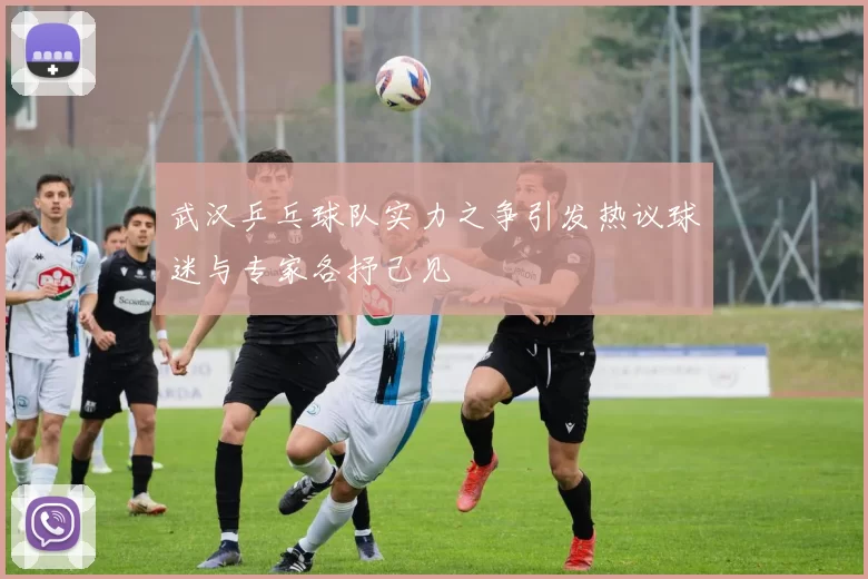 武汉乒乓球队实力之争引发热议球迷与专家各抒己见