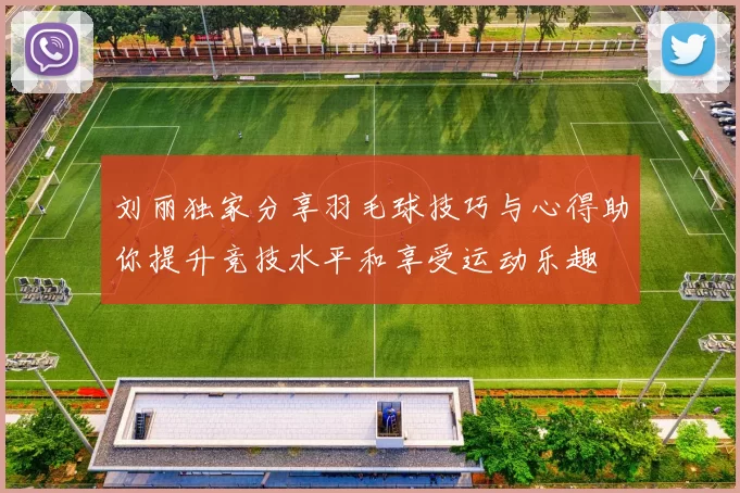 刘丽独家分享羽毛球技巧与心得助你提升竞技水平和享受运动乐趣