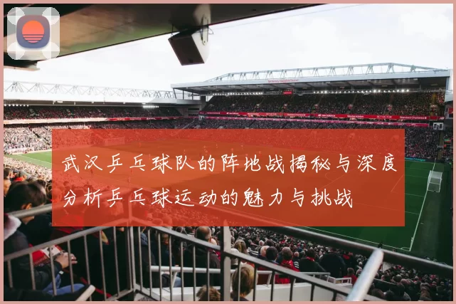 武汉乒乓球队的阵地战揭秘与深度分析乒乓球运动的魅力与挑战