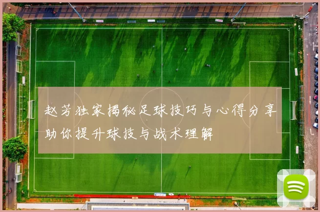 赵芳独家揭秘足球技巧与心得分享助你提升球技与战术理解