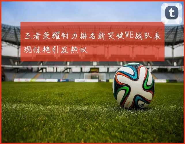 王者荣耀耐力排名新突破WE战队表现惊艳引发热议