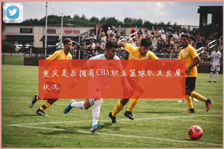 重庆是否拥有CBA职业篮球队及发展状况