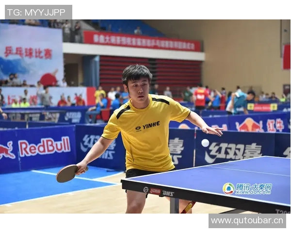 武汉乒乓球队崛起之路联合会杯背后的奋斗与荣耀